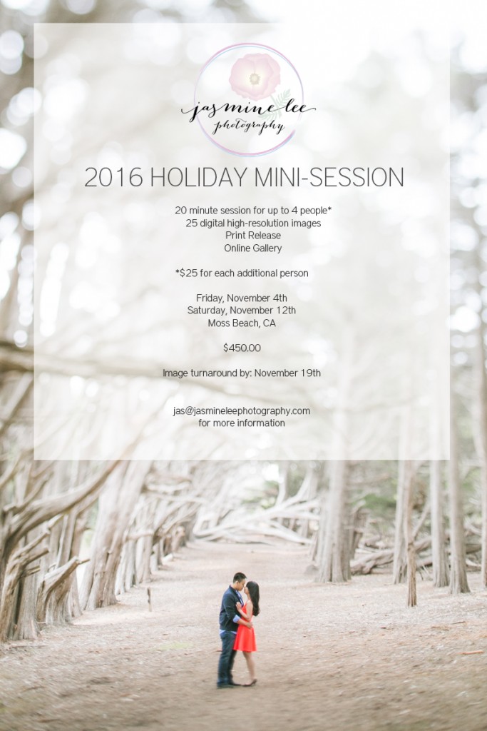 2016-mini-sessions