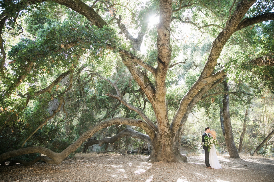 sunol engagement session, engagement session, california wedding photographer, elegant couple, san francisco engagement session, san francisco engagement photographer, bay area wedding photographer, golden light, california wedding photography, engagement session, destination wedding photographer, jasmine lee photography, sunol regional park, the mrs. box, wedding anniversary session