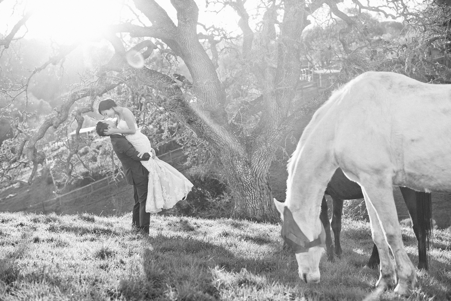 Los_Altos_Wedding_Westwind_Community_Barn_horses_034.jpg