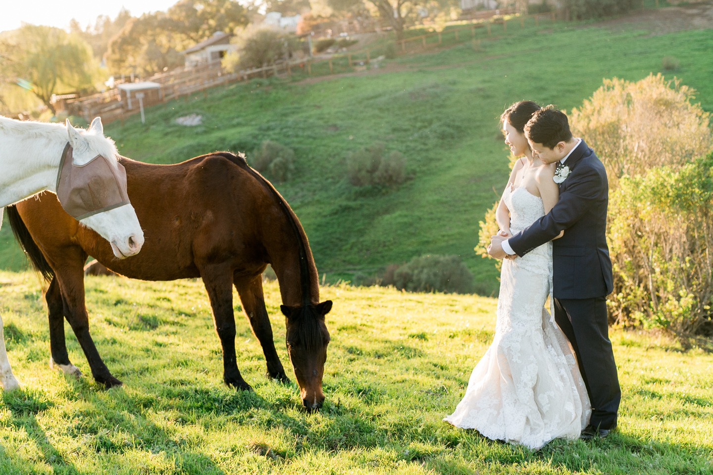 Los_Altos_Wedding_Westwind_Community_Barn_horses_037.jpg