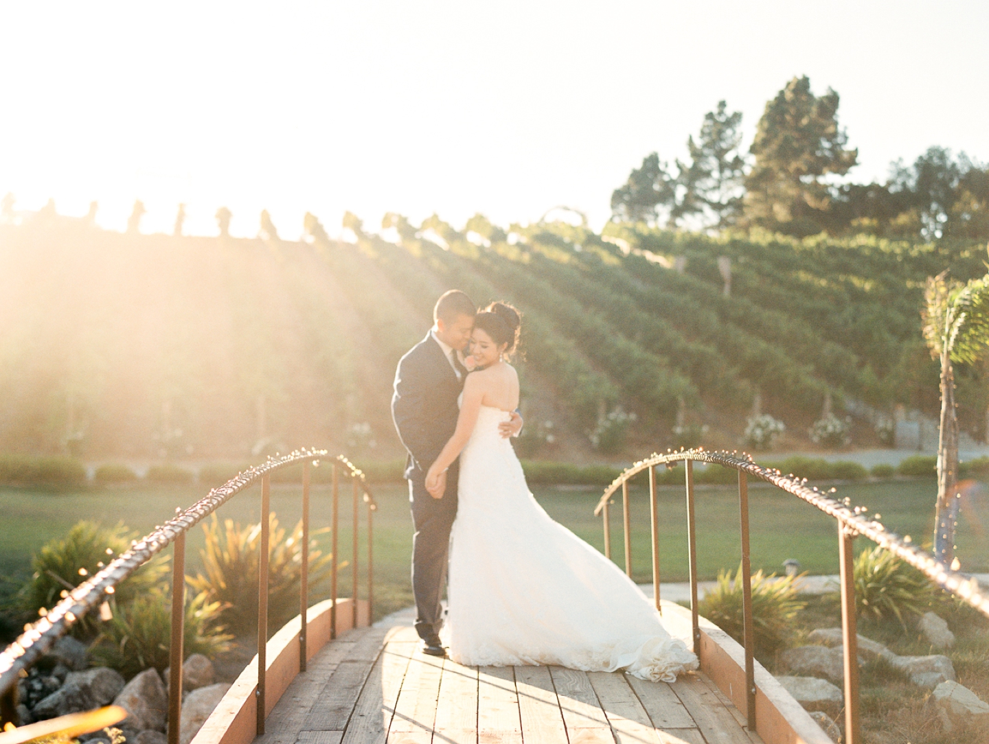 nella_terra_cellars_sunol_wedding_0038.jpg