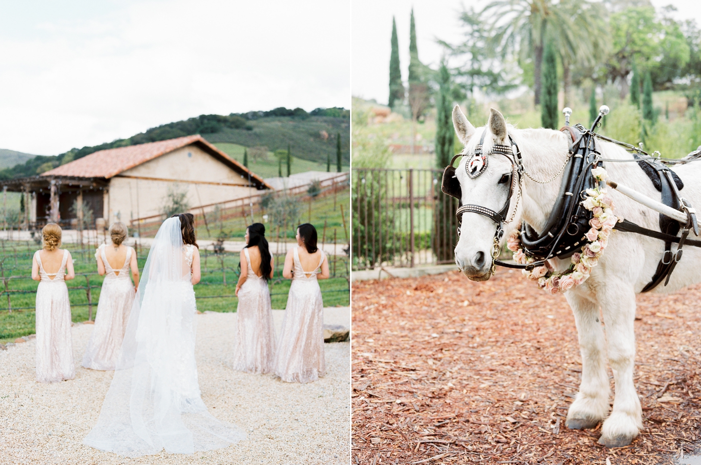 hero_ranch_san_jose_wedding_0021.jpg