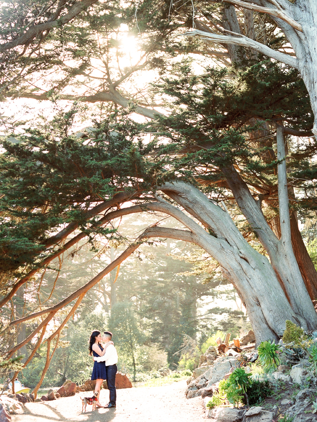 stow_lake_lands_end_engagement_0001.jpg