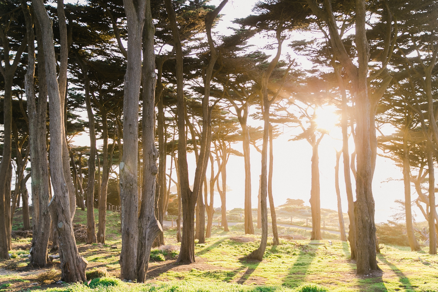 stow_lake_lands_end_engagement_0002.jpg