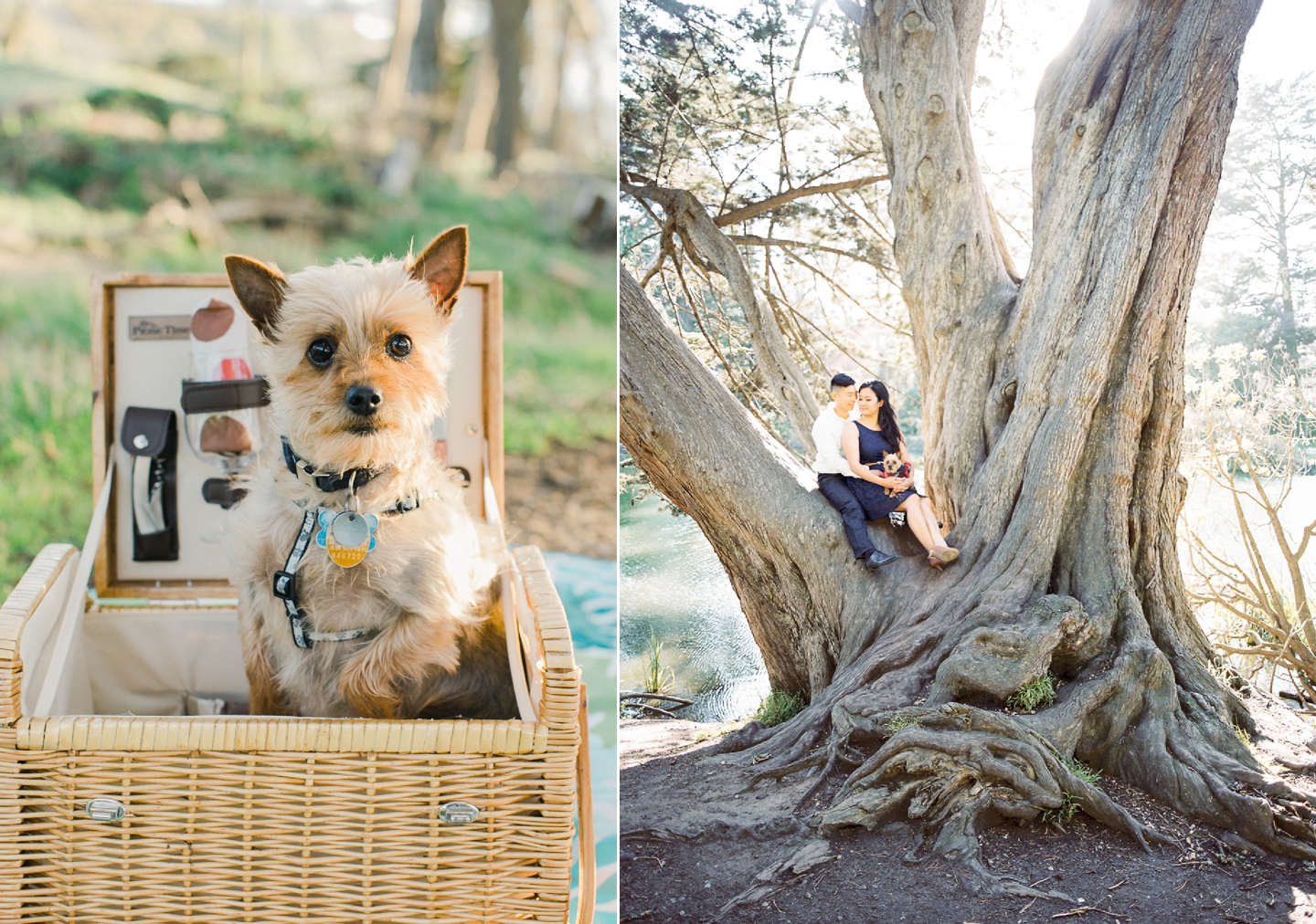 stow_lake_lands_end_engagement_0014.jpg