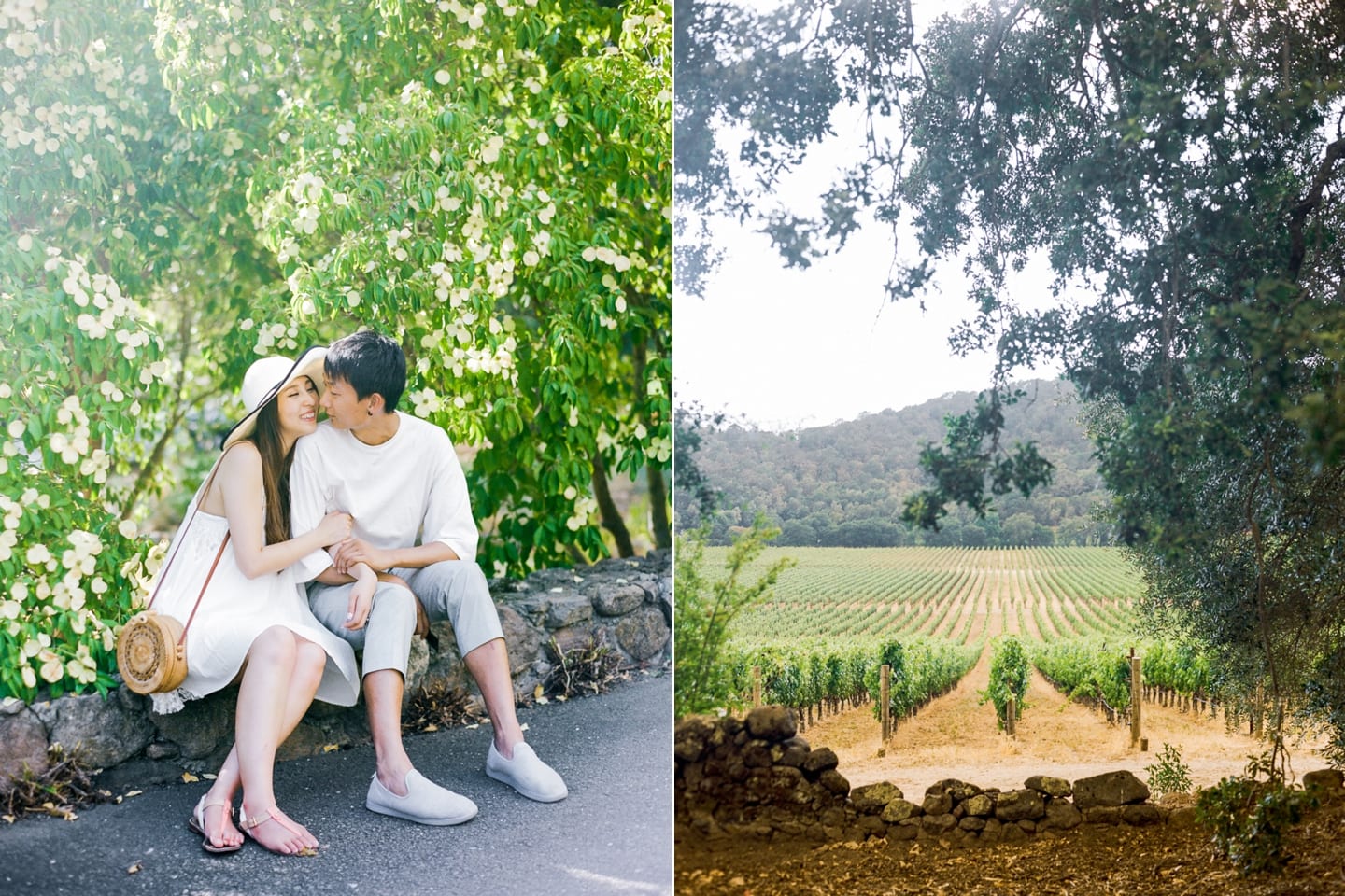 stage_leap_napa_wine_country_proposal_013.jpg