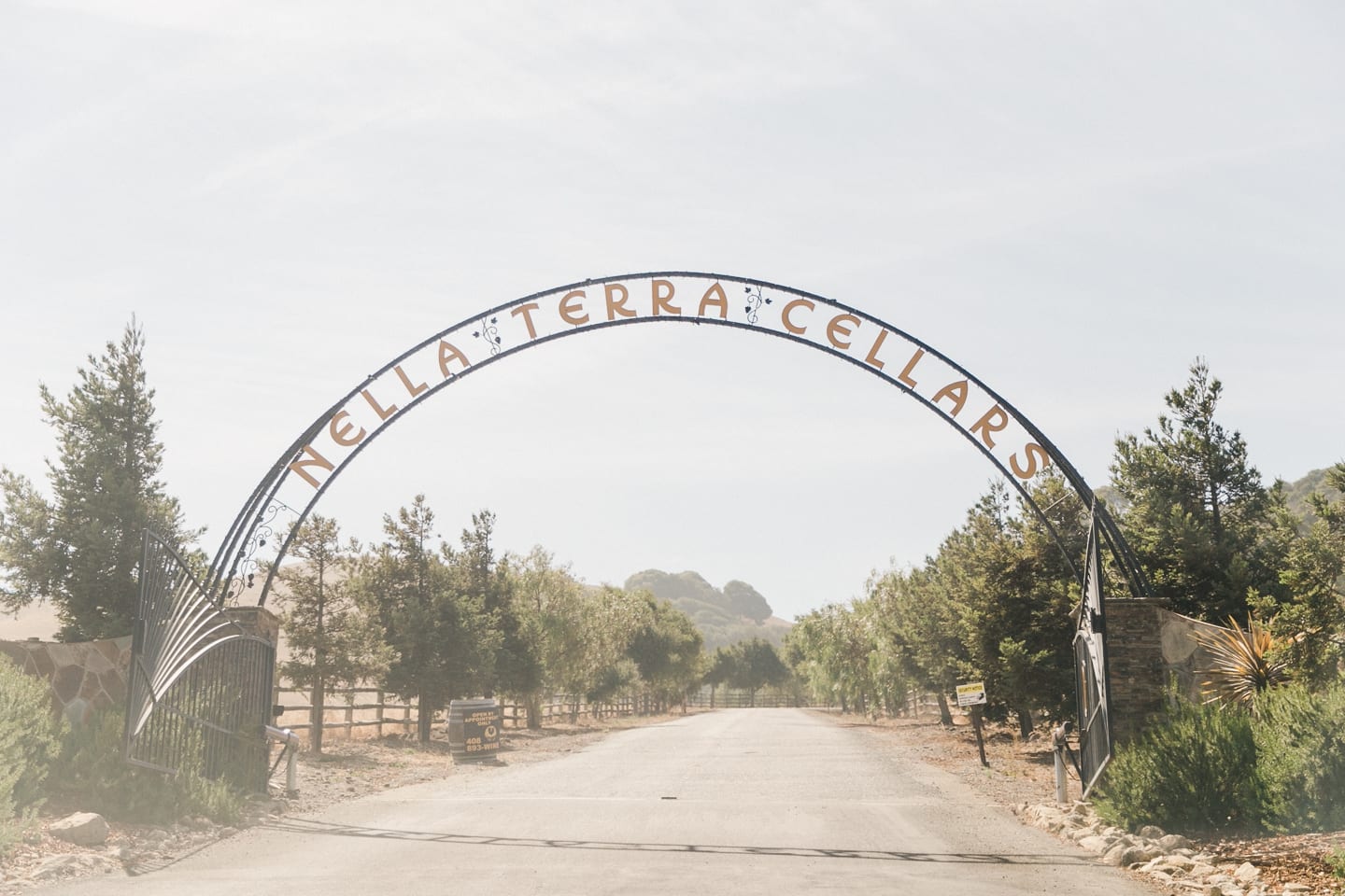 nella_terra_wedding_sunol_007.jpg