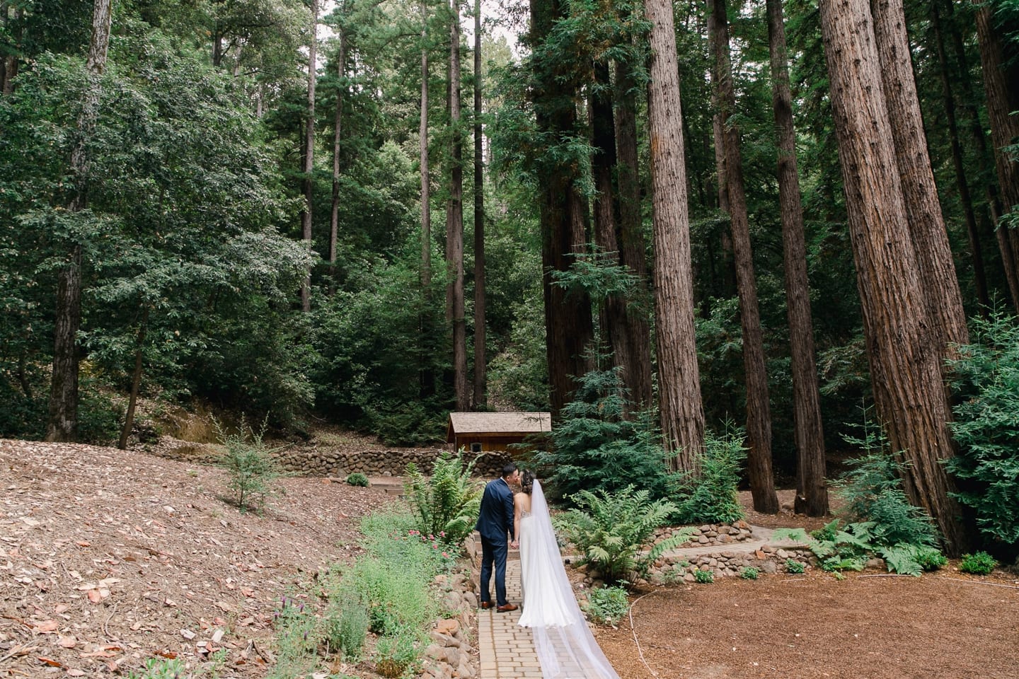 waterfall_lodge_santa_cruz_wedding_051.jpg