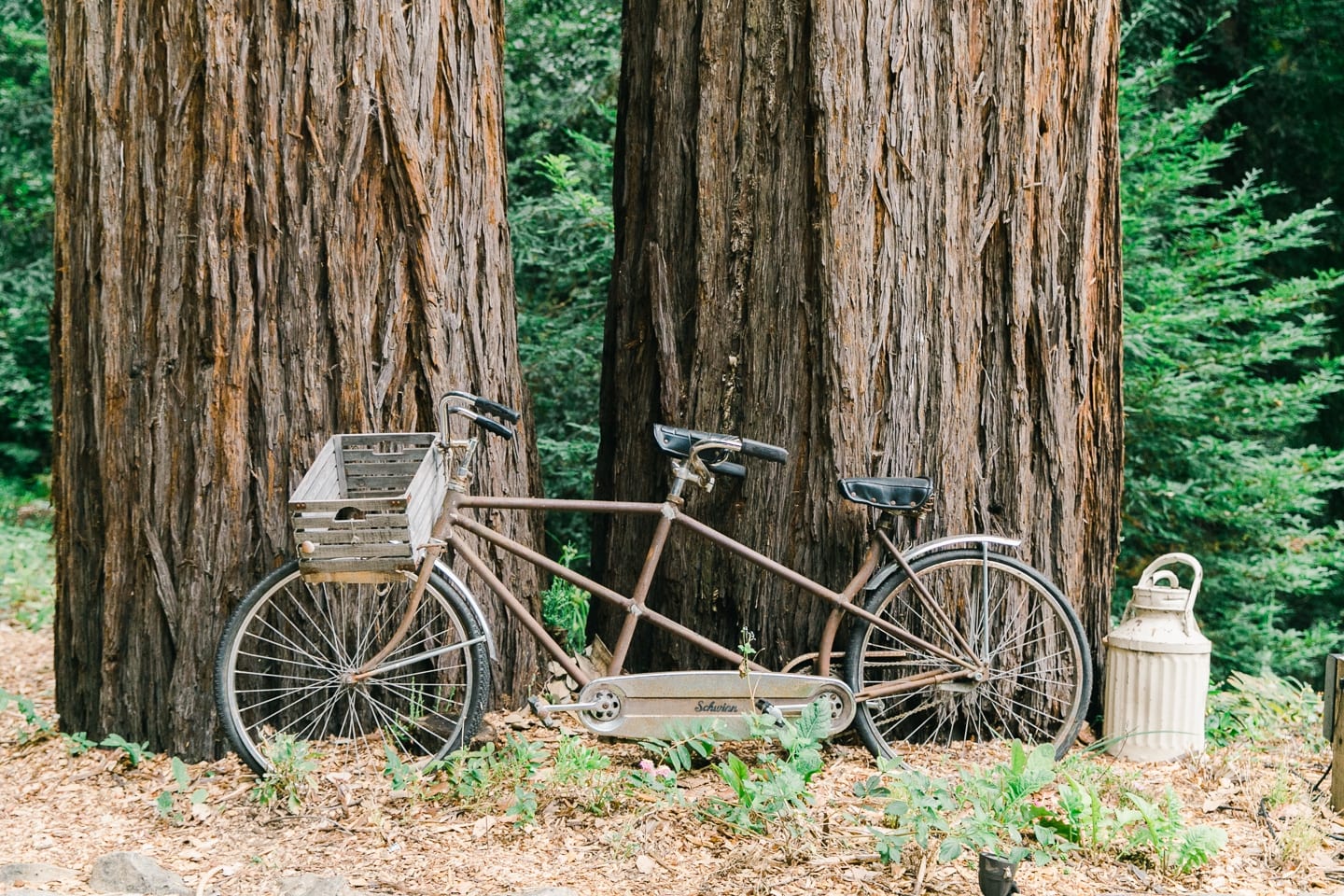 waterfall_lodge_santa_cruz_wedding_070.jpg