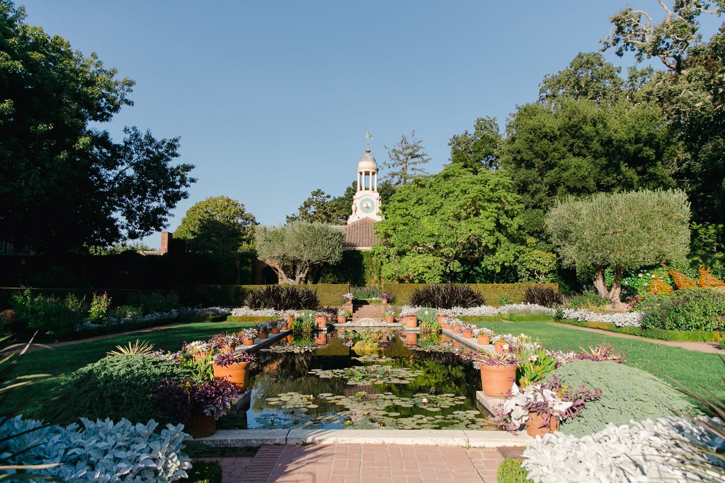 filoli_engagement_proposal_003.jpg