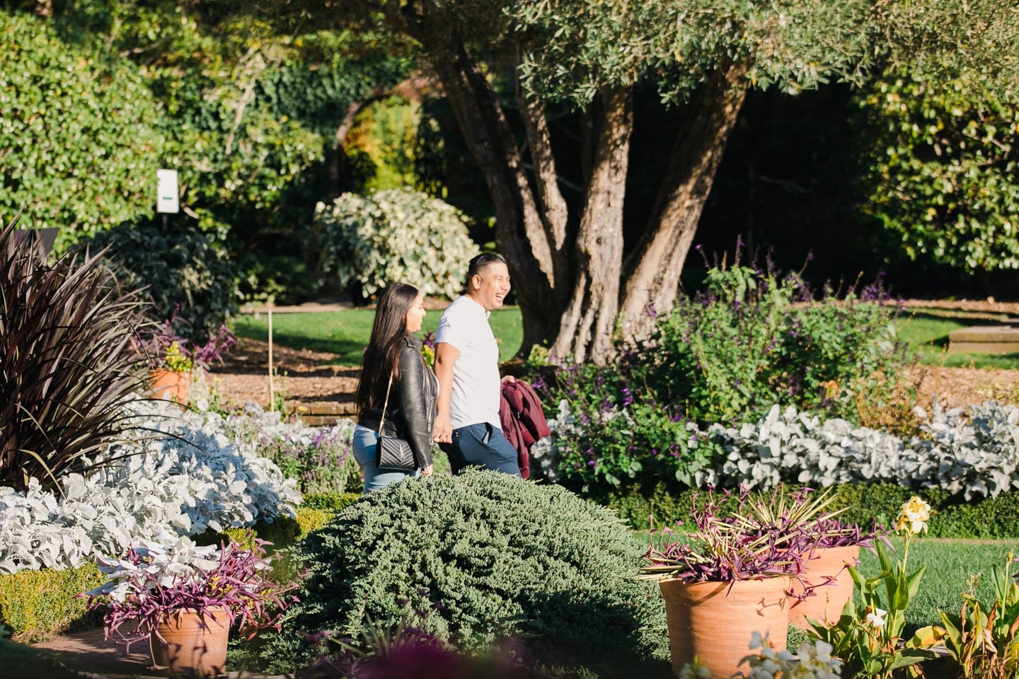 filoli_engagement_proposal_005.jpg