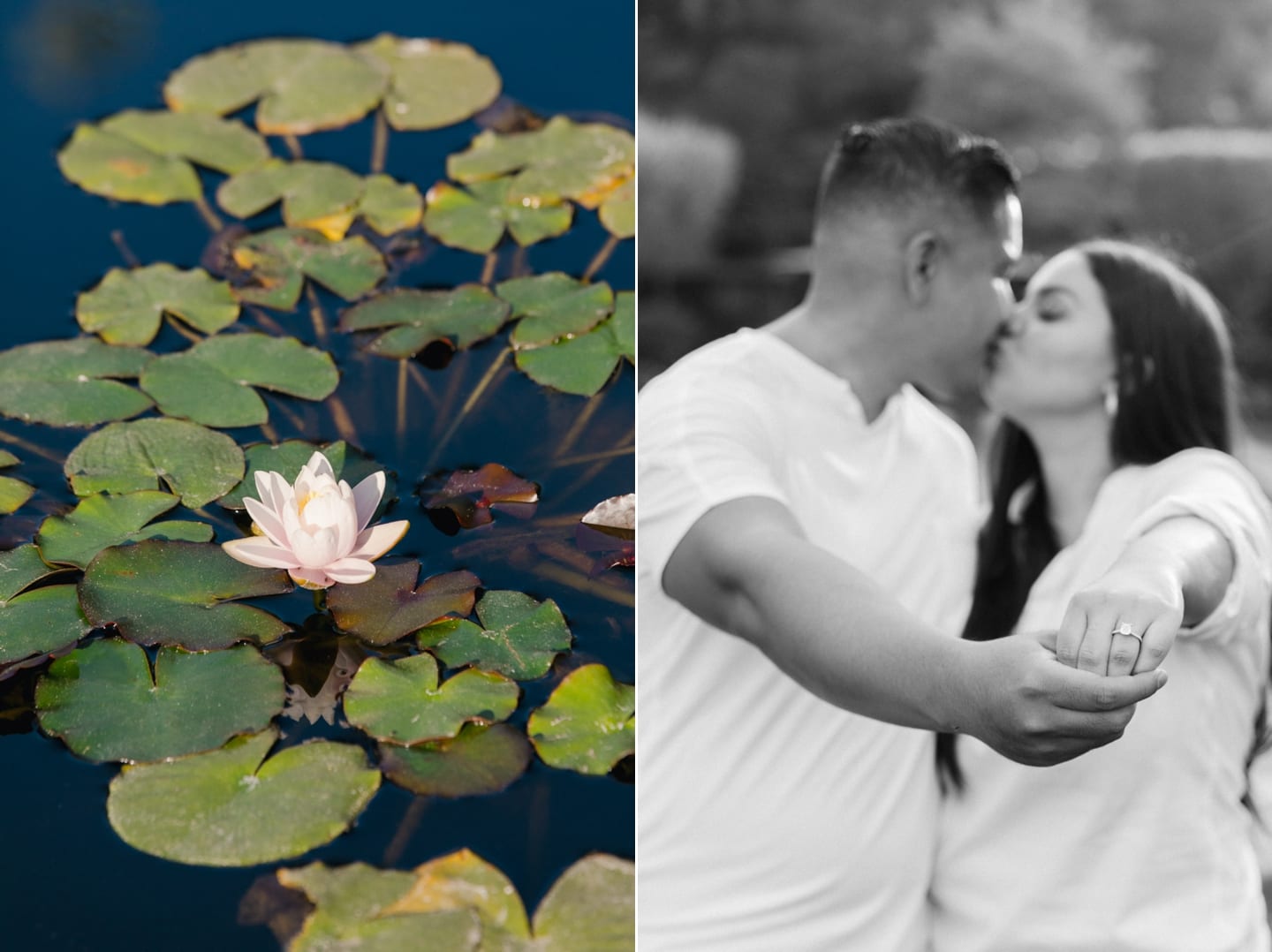 filoli_engagement_proposal_014.jpg