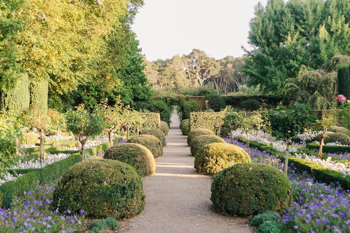 filoli_engagement_proposal_016.jpg