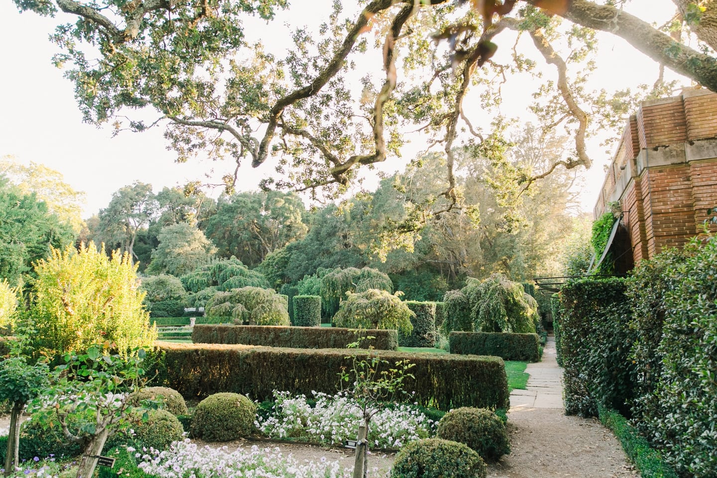 filoli_engagement_proposal_023.jpg