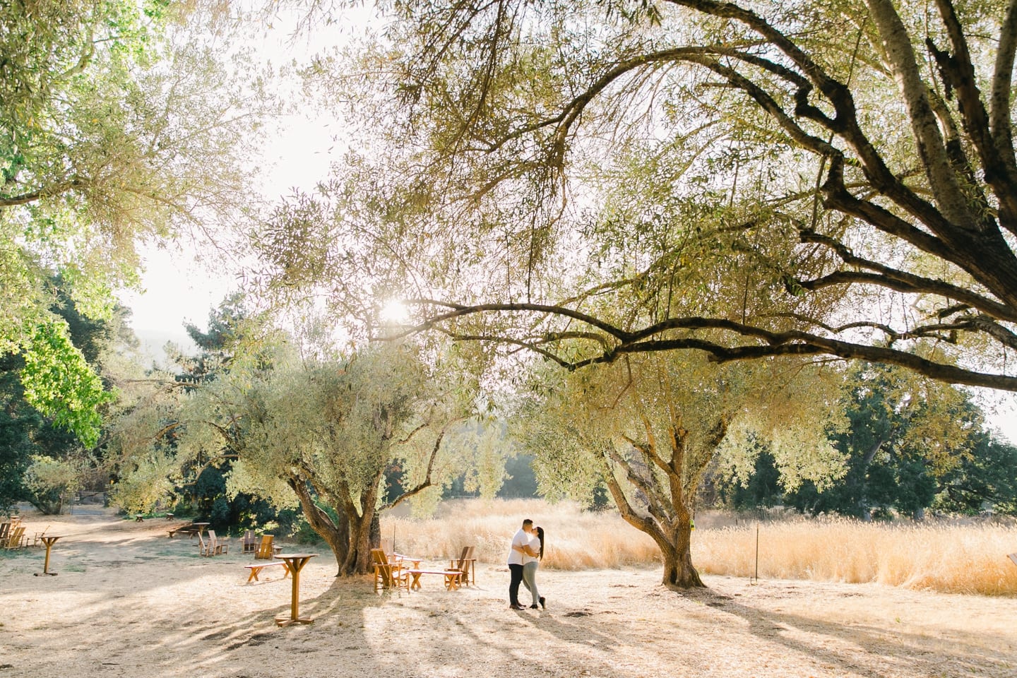 filoli_engagement_proposal_024.jpg