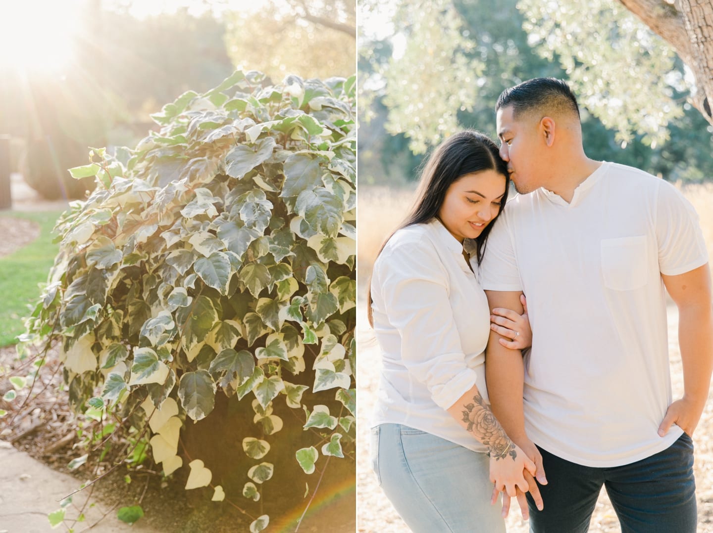 filoli_engagement_proposal_026.jpg