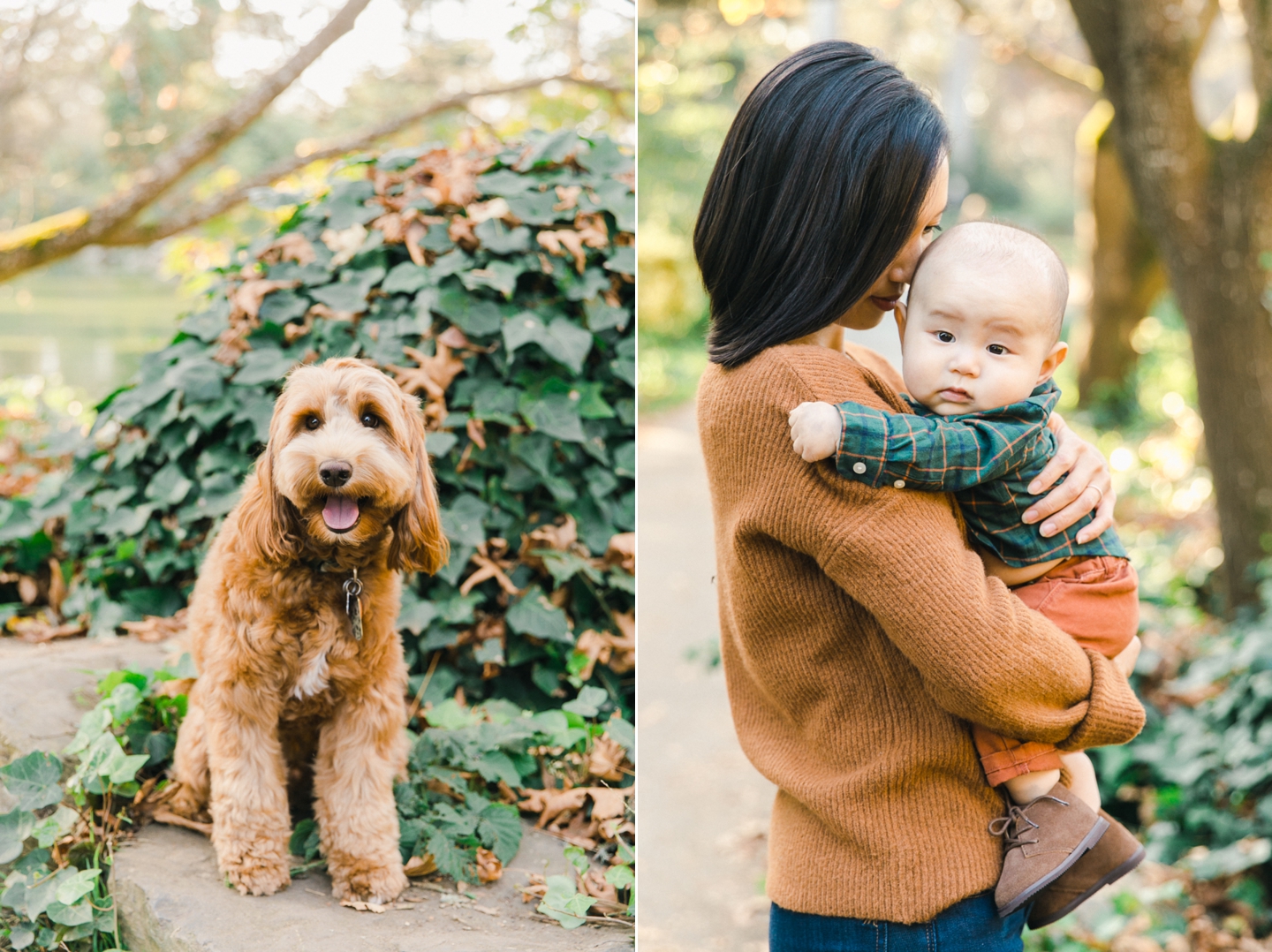 golden_gate_park_baby_family_photos_003.jpg