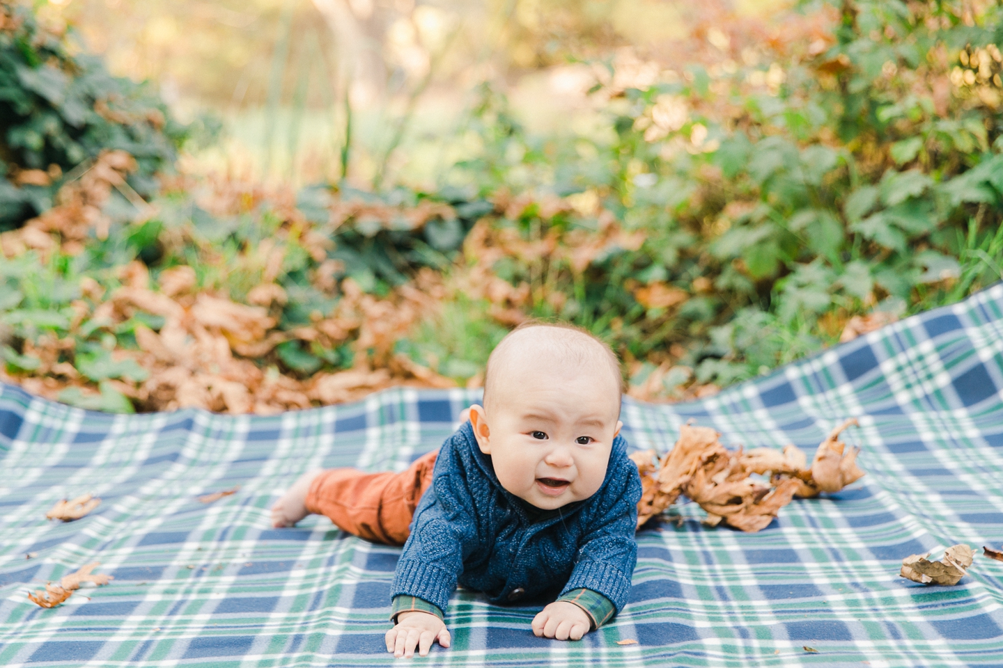 golden_gate_park_baby_family_photos_007.jpg