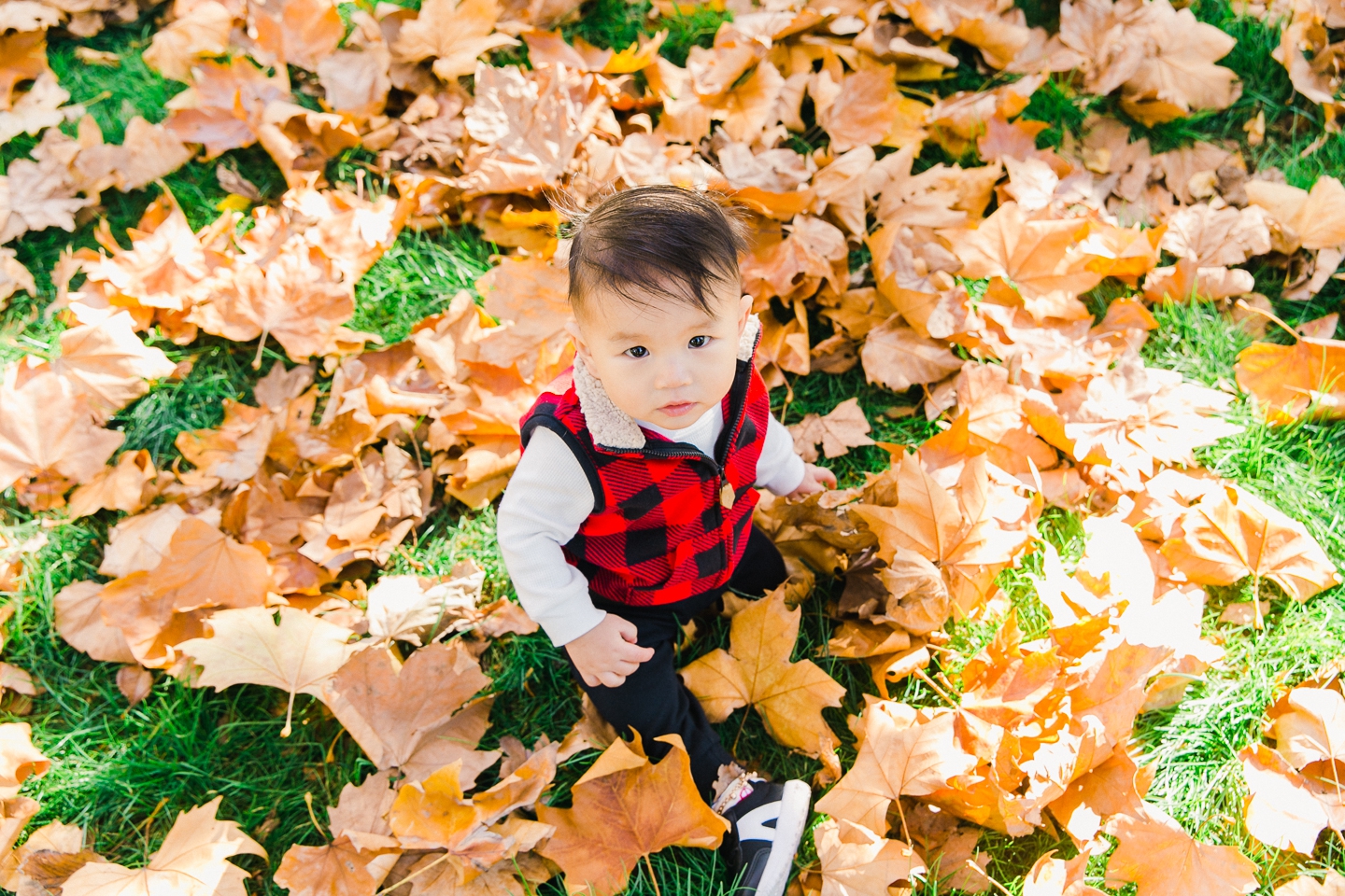 golden_gate_park_fall_foliage_family_005.jpg