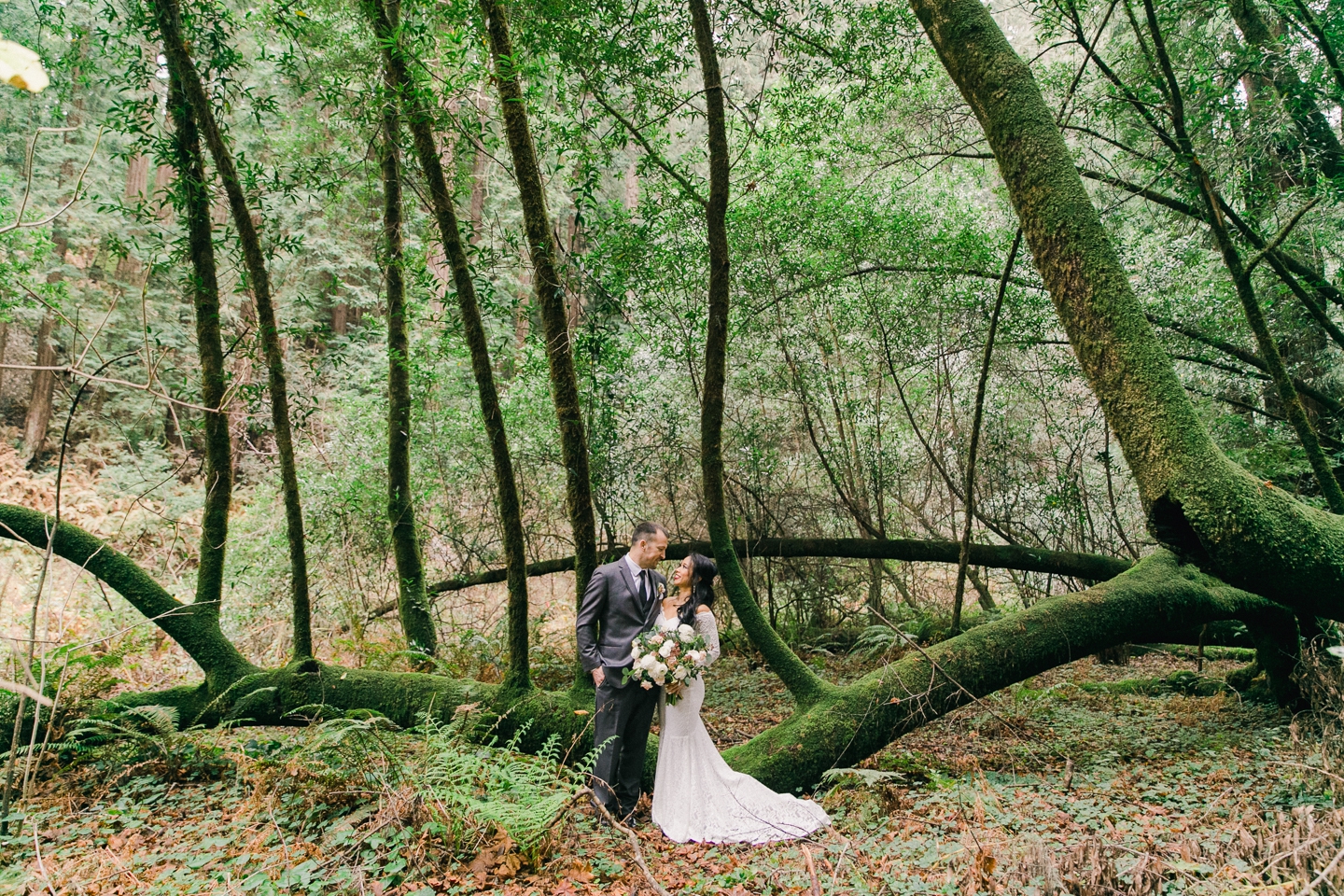 muir_woods_mount_tamalpais_wedding_003.jpg