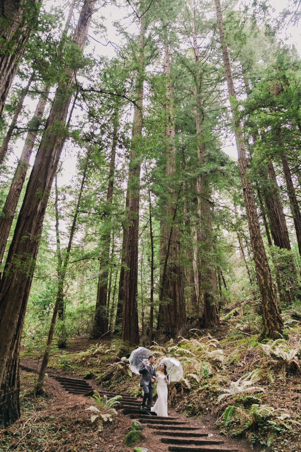 muir_woods_mount_tamalpais_wedding_008.jpg