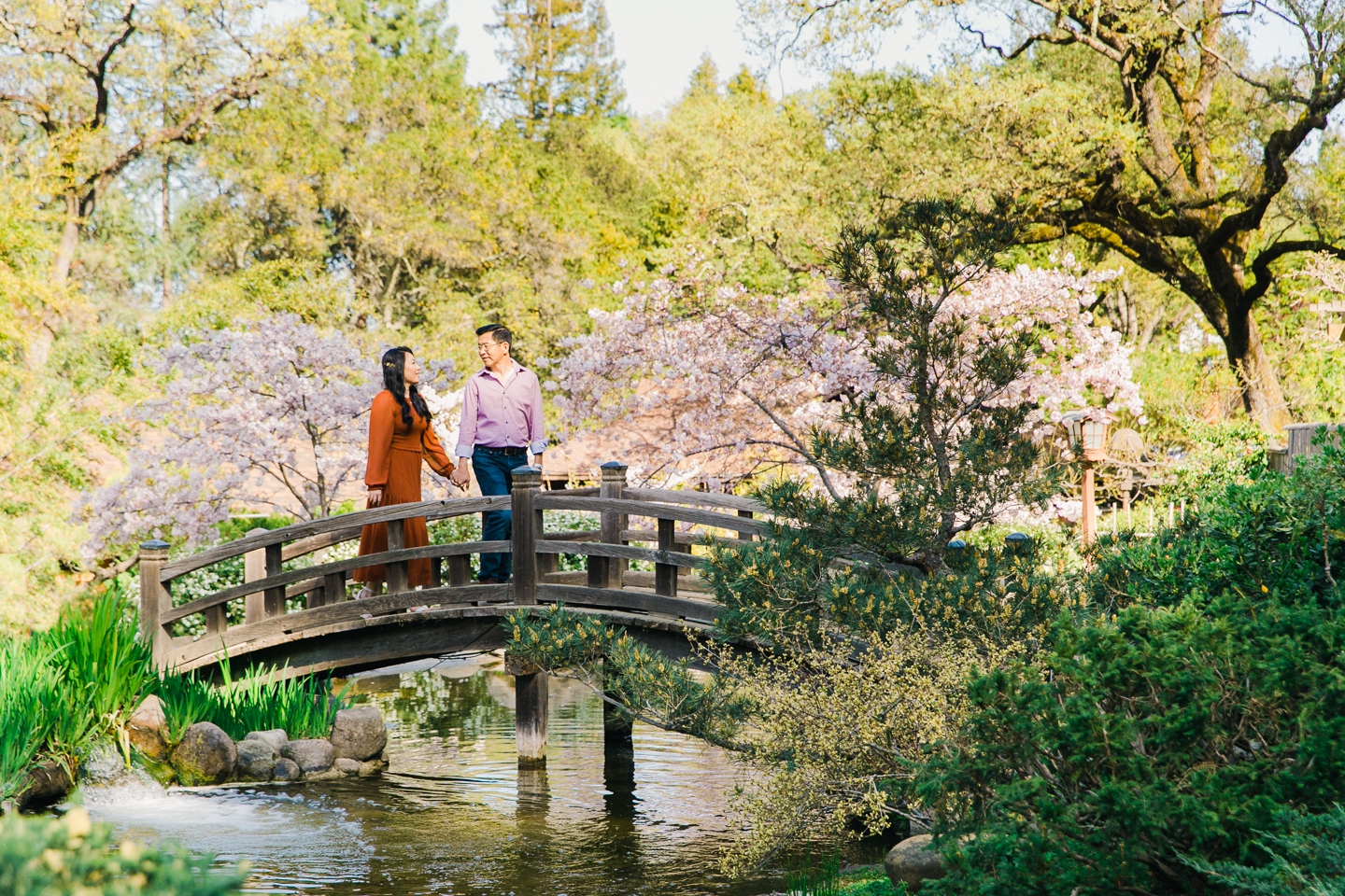 hakone_garden_sakura_montalvo_art_center_engagement_009.jpg