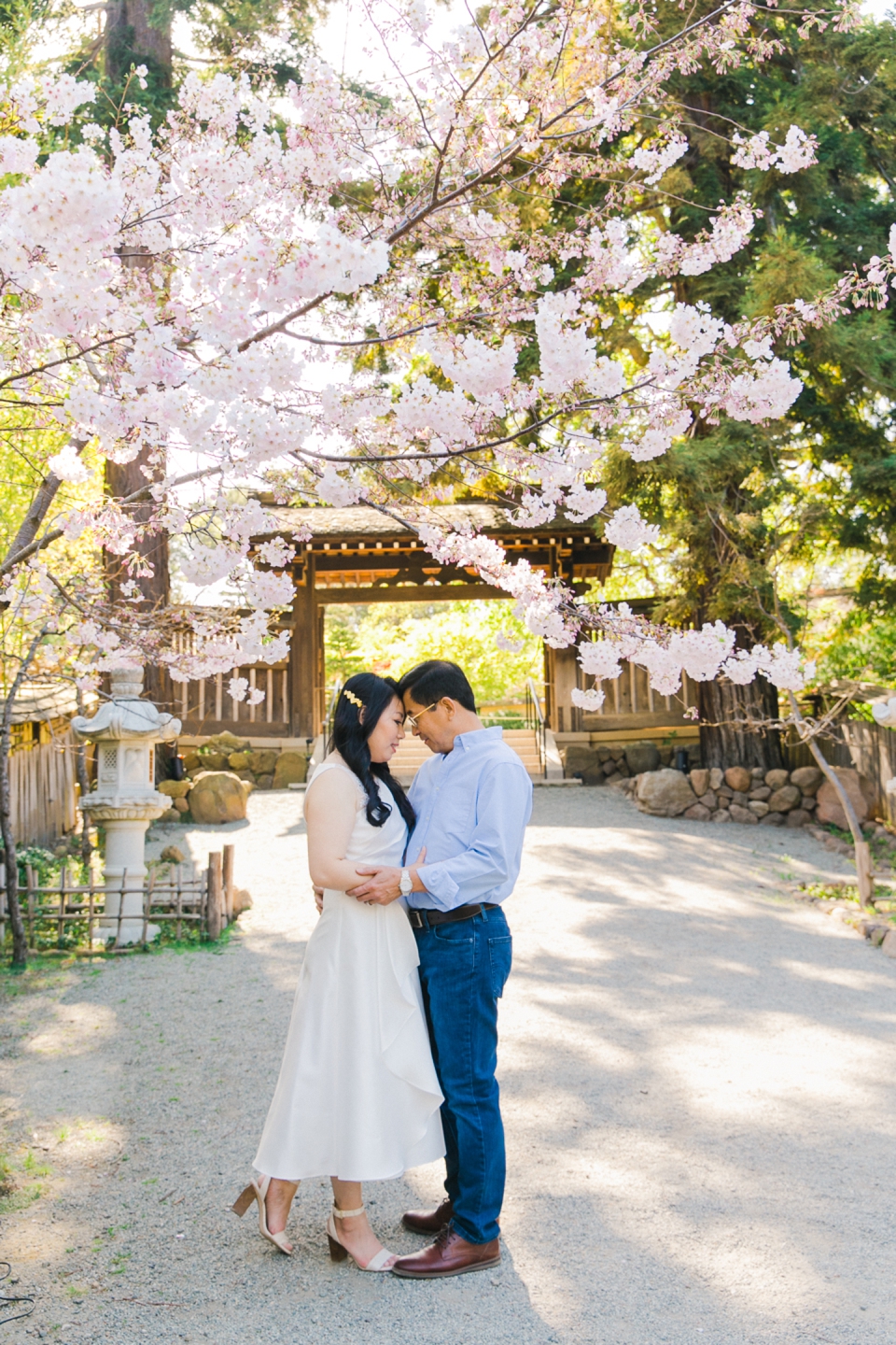 hakone_garden_sakura_montalvo_art_center_engagement_015.jpg