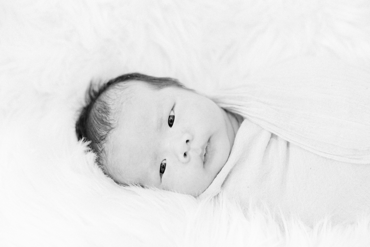 san_francisco_newborn_photographer_0013.jpg