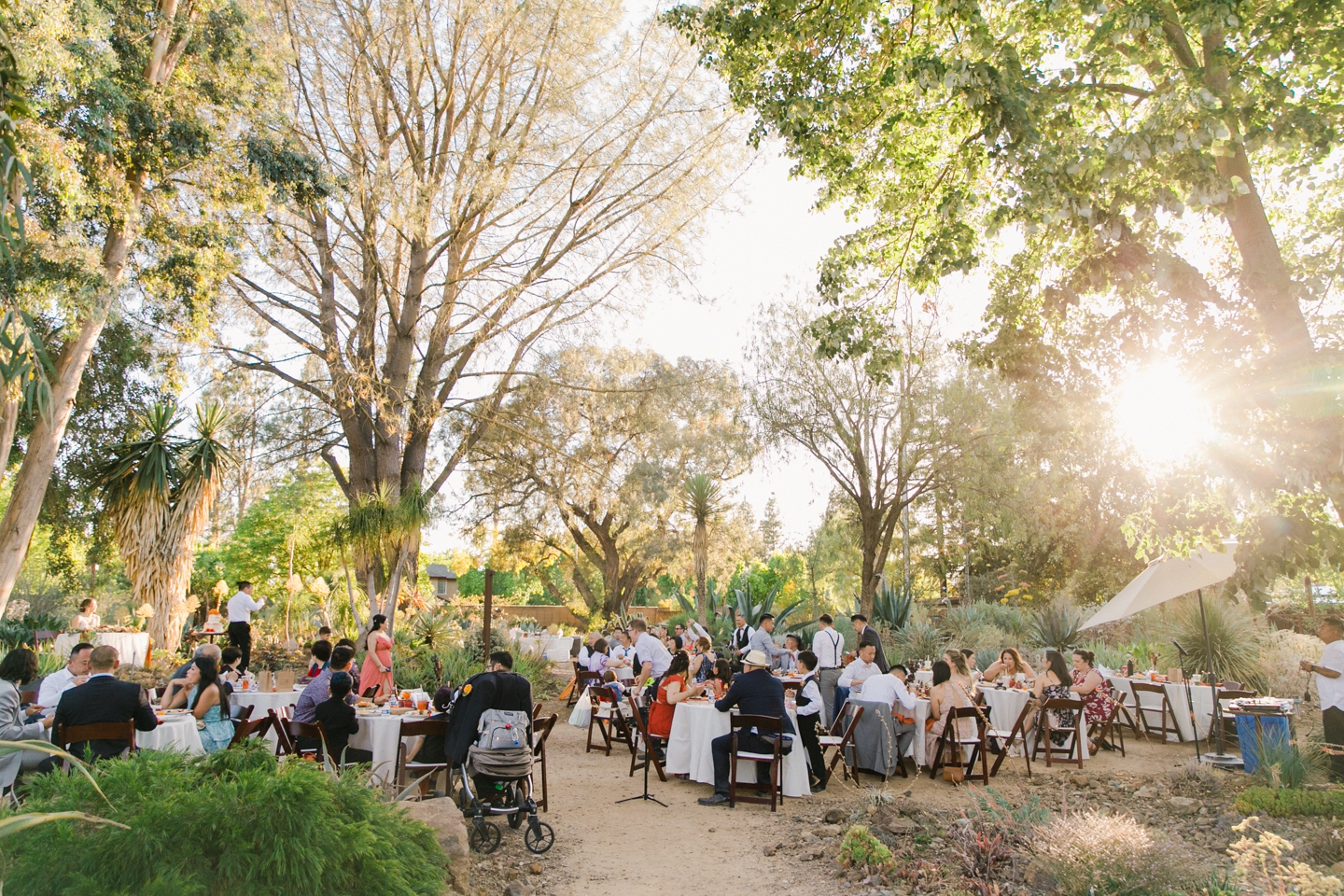 ruth_bancroft_gardens_wedding_walnut_creek_048.jpg