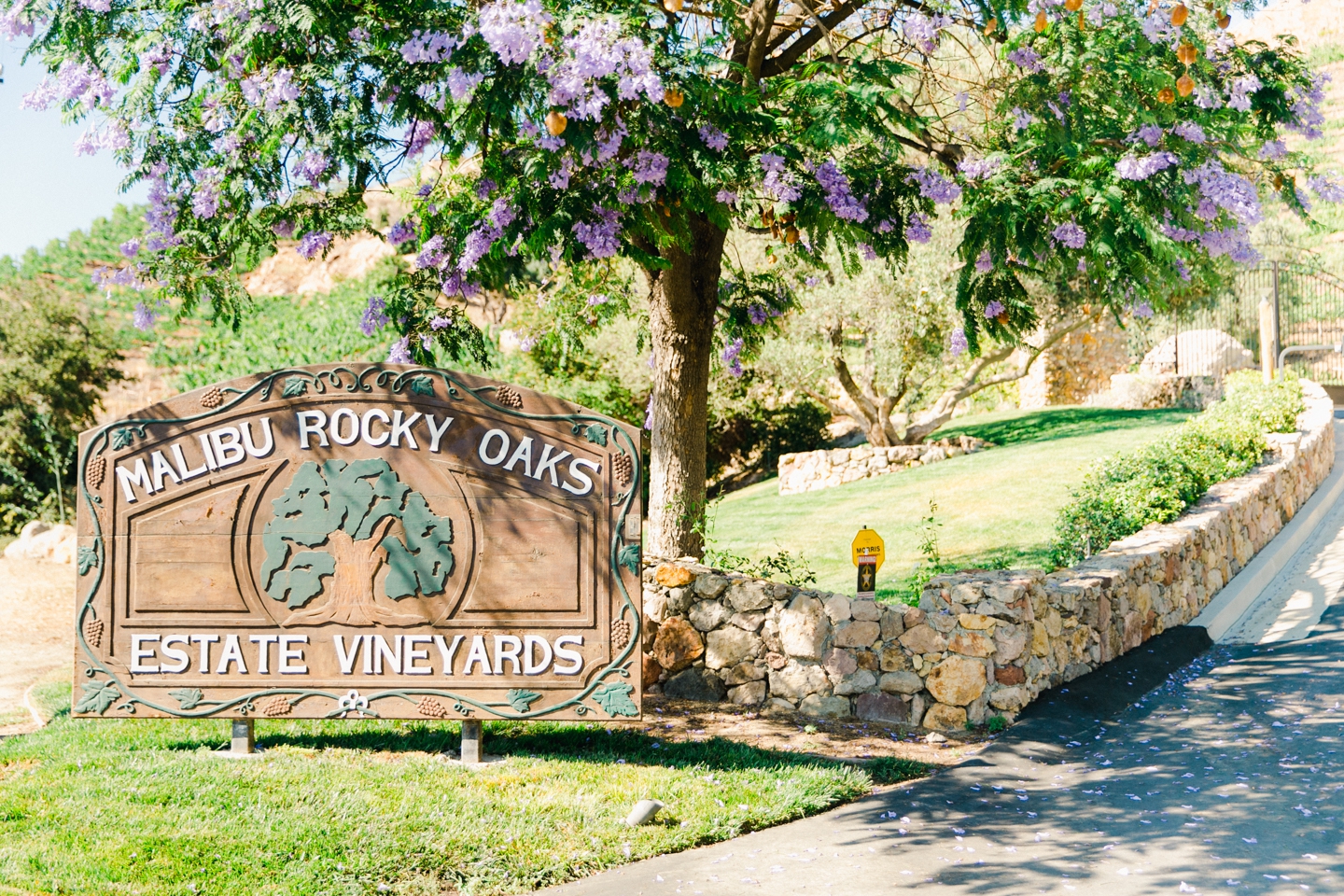 Malibu_rocky_oaks_estate_vineyards_engagement_0002.jpg