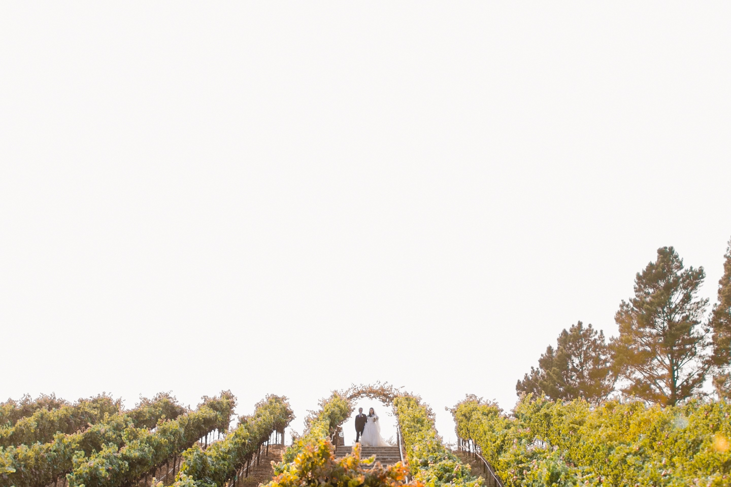 sunol_wedding_nella_terra_0031.jpg