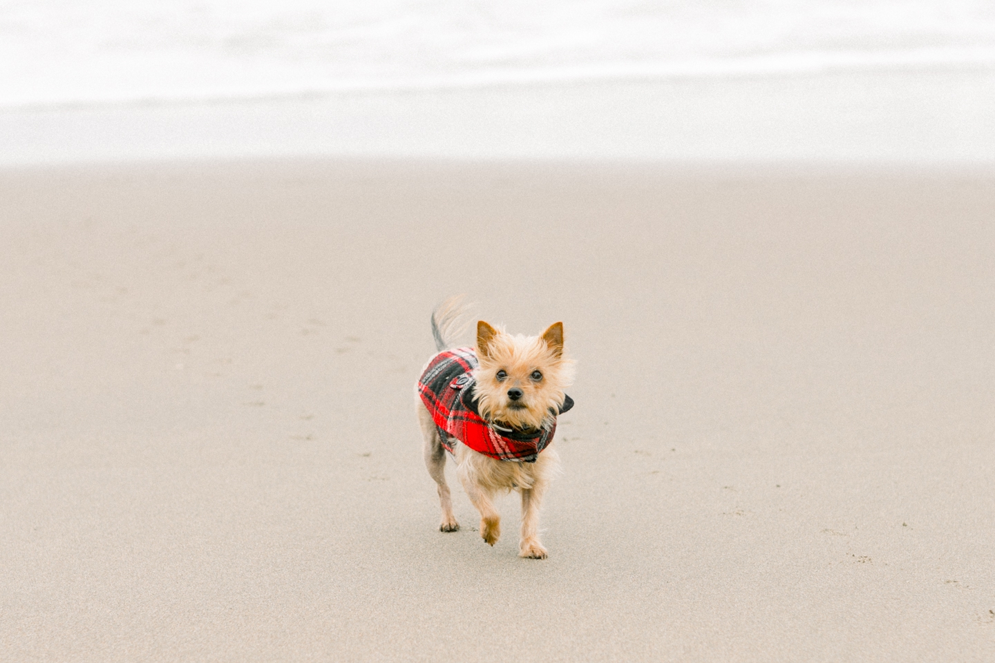 baker_beach_matenity_003.jpg