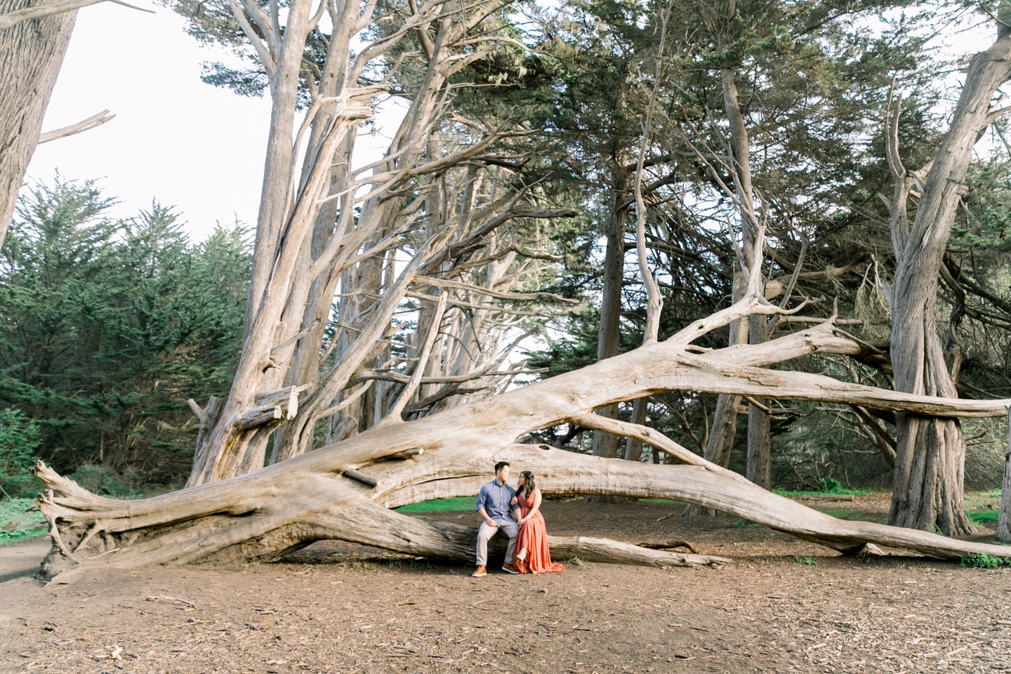 moss_beach_ritz_carlton_half_moon_bay_engagement_001.jpg