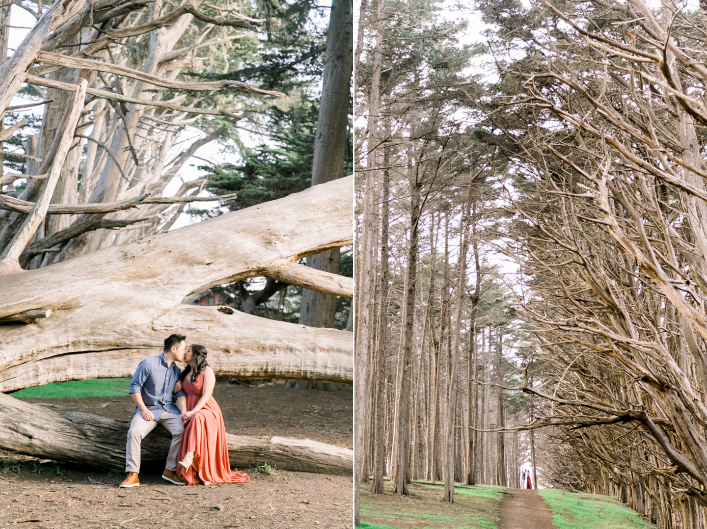 moss_beach_ritz_carlton_half_moon_bay_engagement_007.jpg