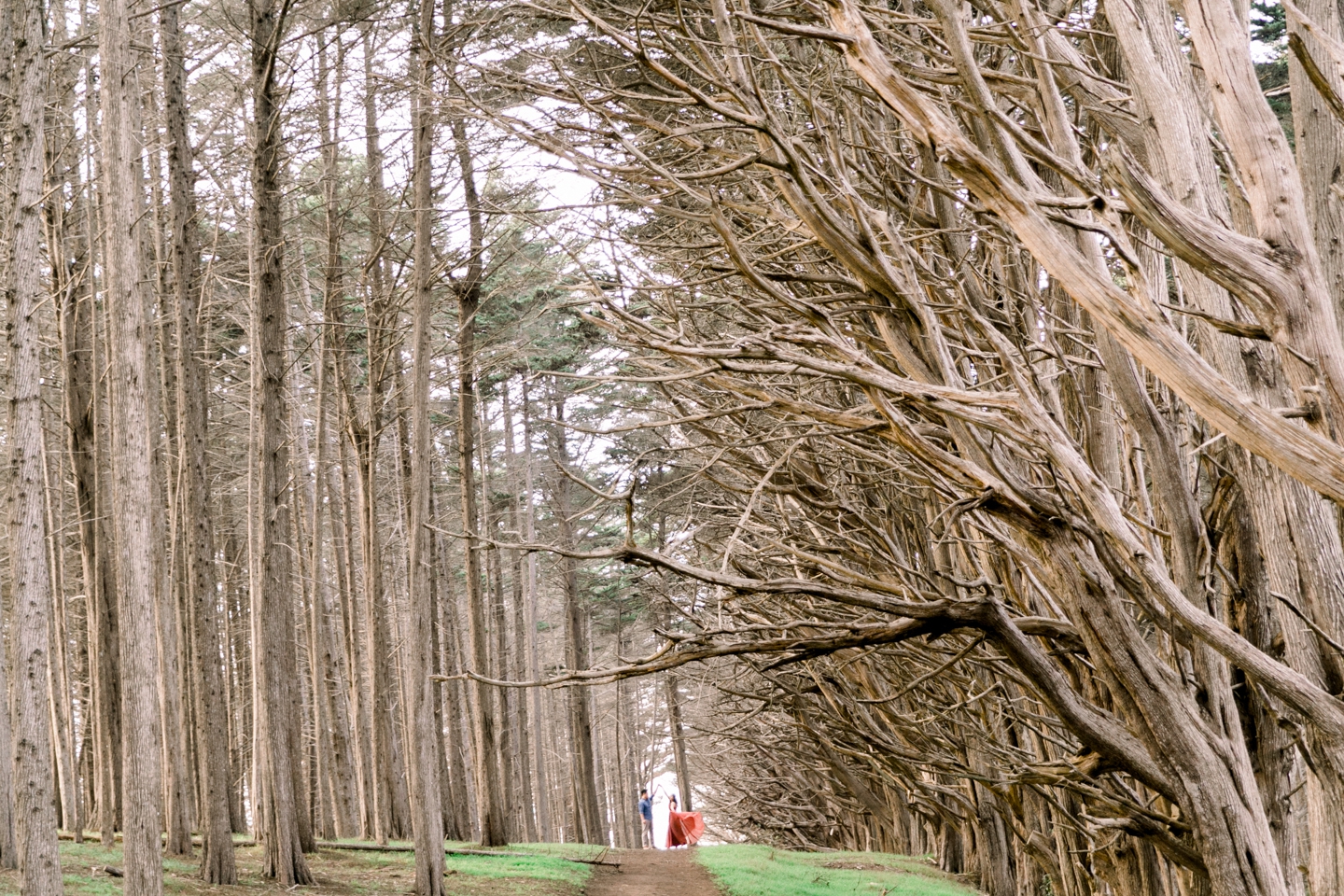 moss_beach_ritz_carlton_half_moon_bay_engagement_009.jpg