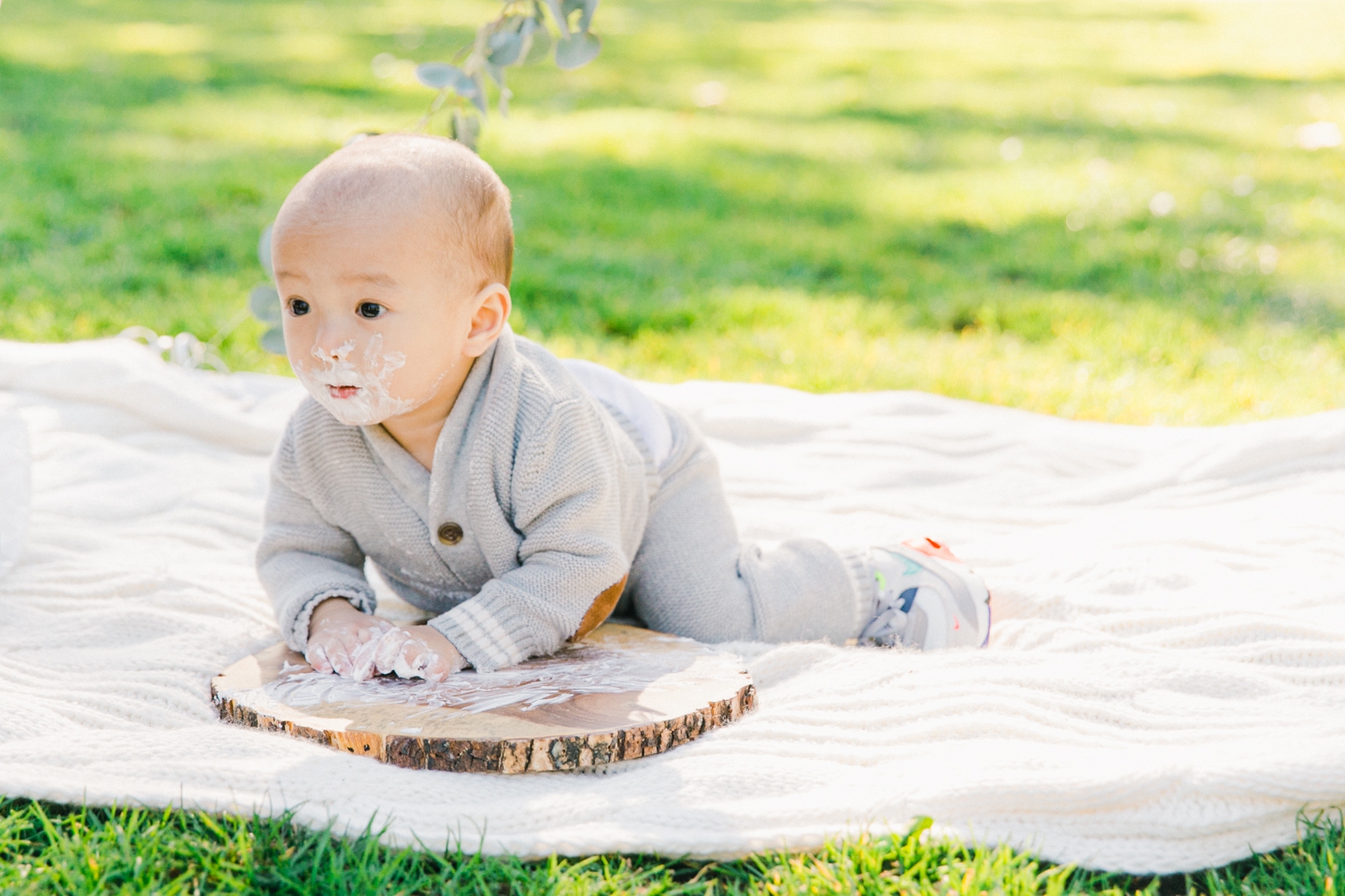 first_birthday_cake_smash_009.jpg