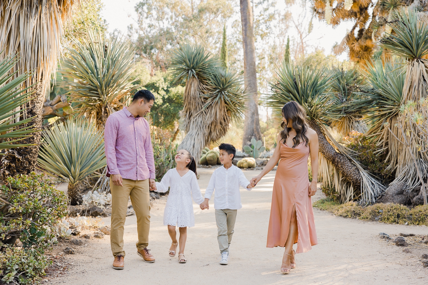 arizona_cactus_garden_stanford_family_006.jpg