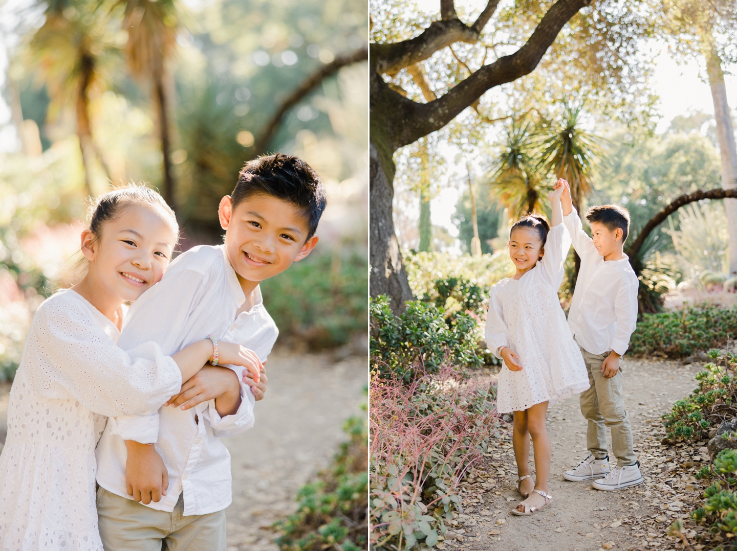 arizona_cactus_garden_stanford_family_013.jpg