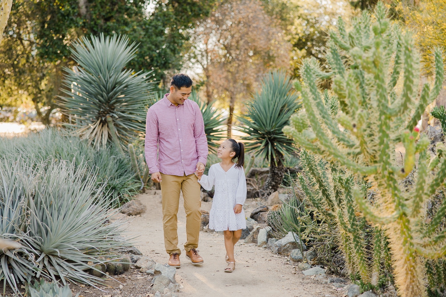 arizona_cactus_garden_stanford_family_018.jpg