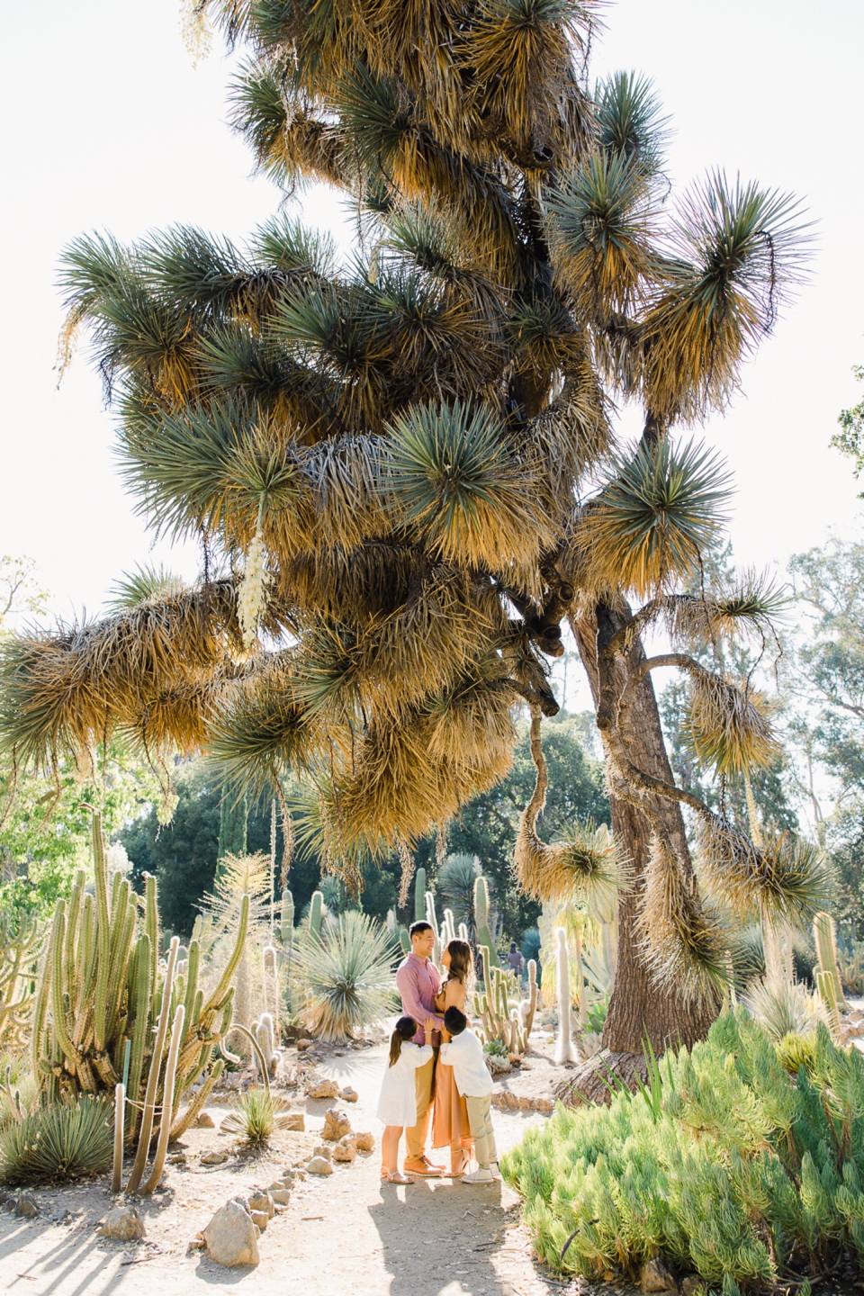 arizona_cactus_garden_stanford_family_023.jpg