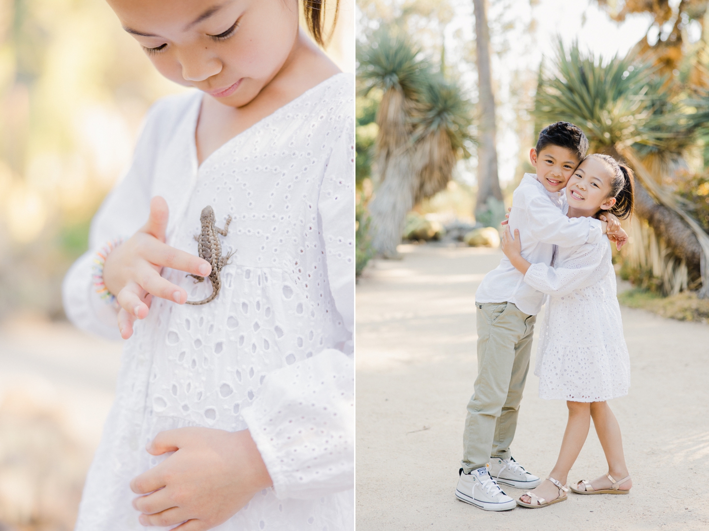 arizona_cactus_garden_stanford_family_027.jpg