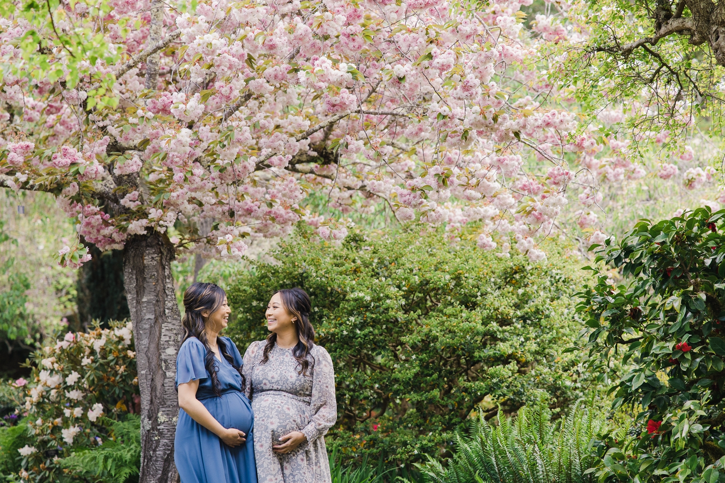 filoli_pulgas_water_temple_family_maternity_photos_005.jpg