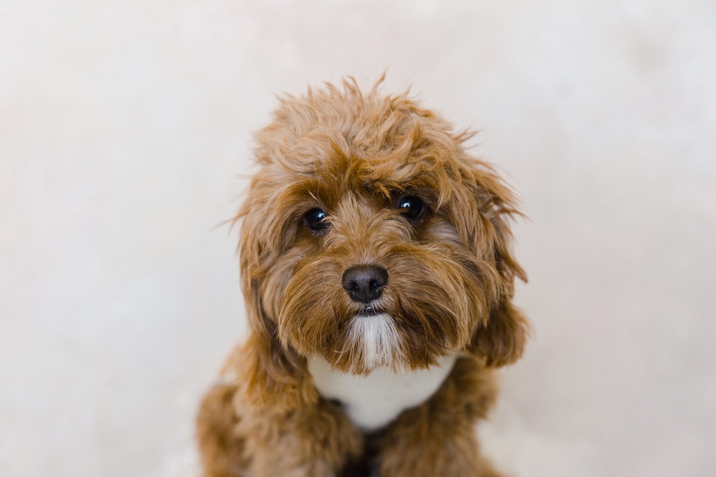 san_francisco_portrait_headshots_0002.jpg