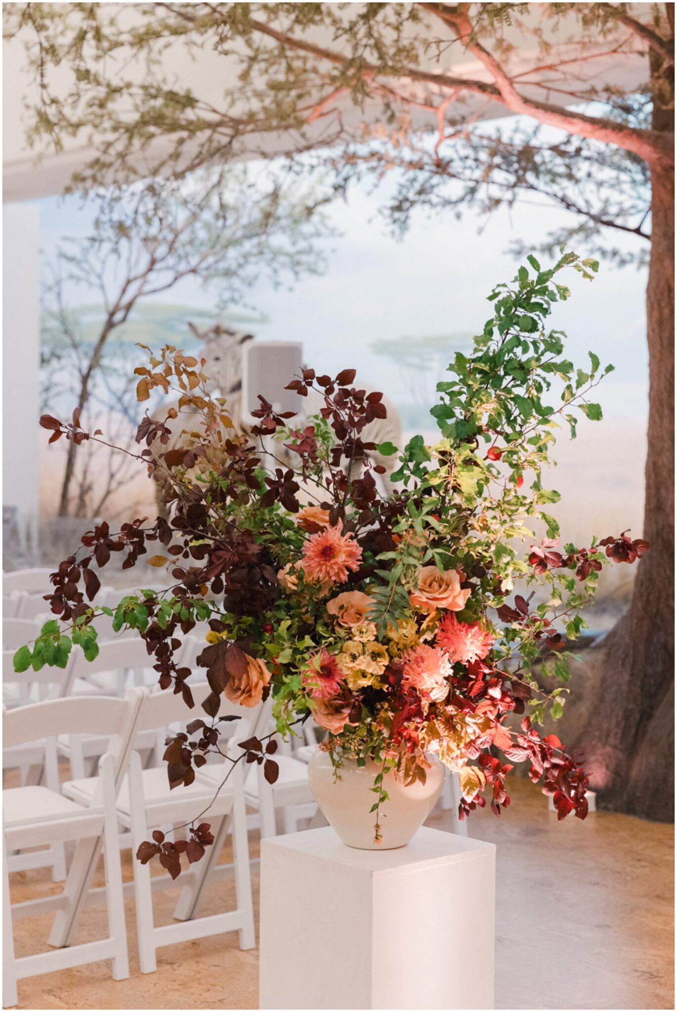 San Francisco Wedding Photographer California Academy of Sciences